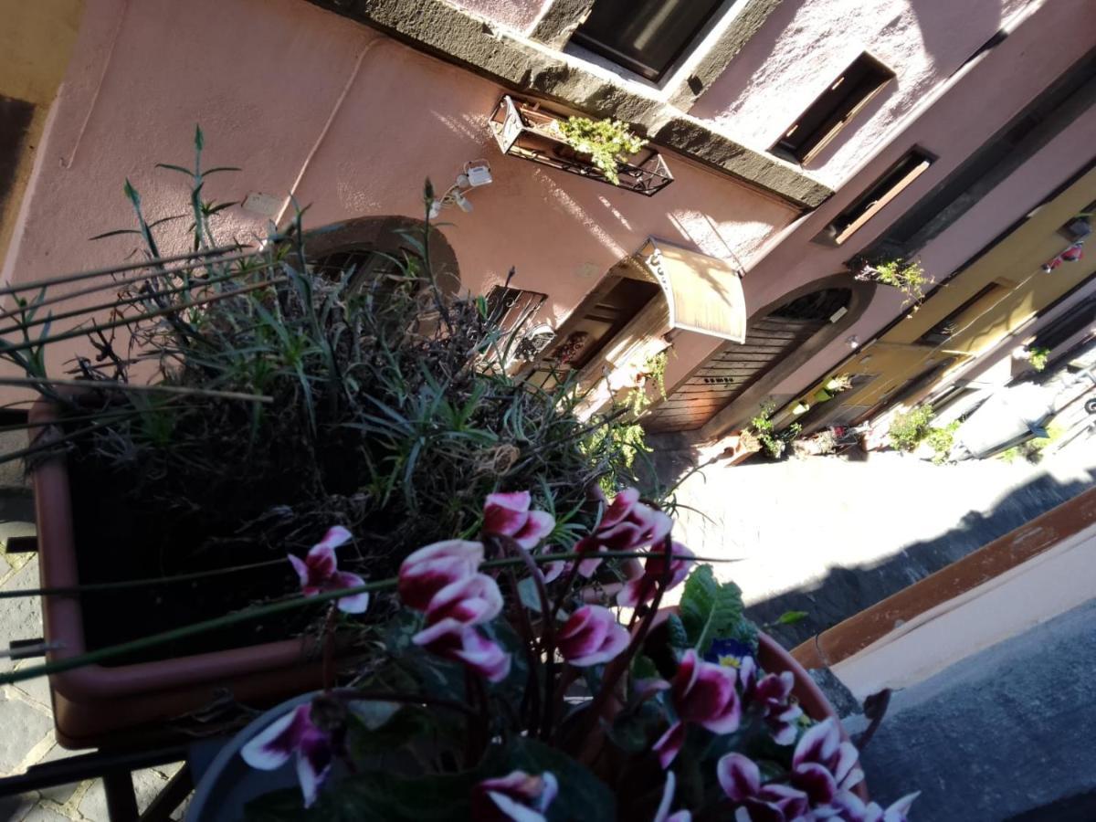 Alloggio Turistico Centro Storico Malatesta Montefiascone Bagian luar foto